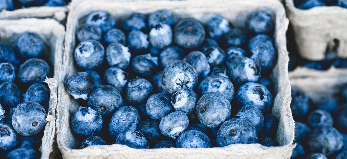 Kochen weltweit - Die Küchen der Welt und ihre Rezepte