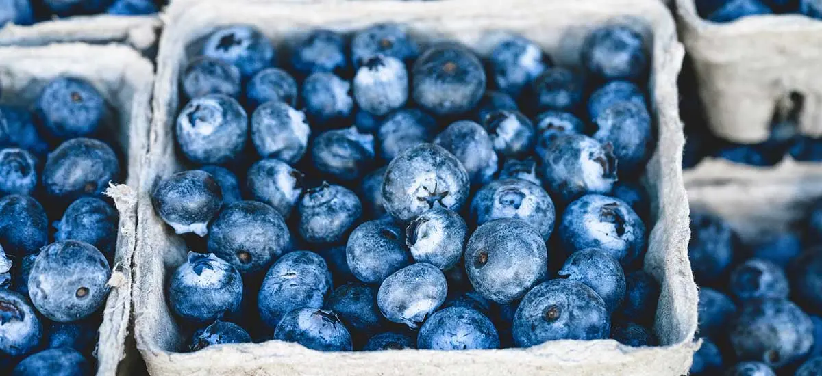 Kochen weltweit - Die Küchen der Welt und ihre Rezepte